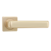 FZ75-Z647