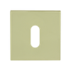 FA161-Key hole