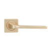 FZ75-Z649