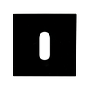 FA161-Key hole